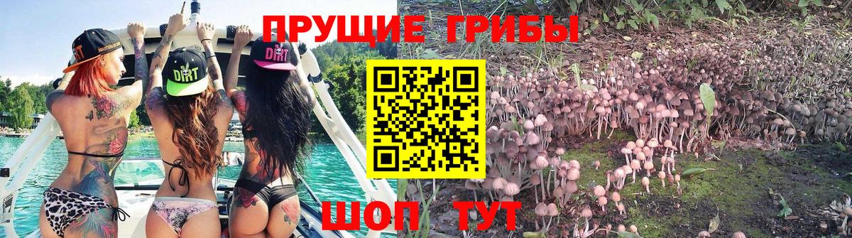 Псилоцибиновые грибы ЛСД Кемерово